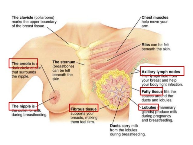 swollen sore breast Models for sex photos in pennsylvania